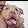 rickysayers - @rickysayers - TikTok