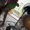 jai - @rickybaptiste8 - TikTok