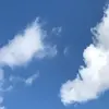 Rickybart08 - @rikibart1 - TikTok
