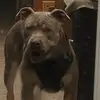 user5348282845249 - @ricky.barton10 - TikTok