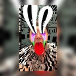 Ricky bishop - @jester_laughs_photography - Instagram