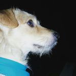 rikcy_236 - @ricky_blandon - Instagram