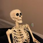 Ricky D. Bones - @rickyd.bones - Instagram