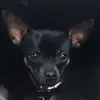 Ricky Boots - @rickyboots - TikTok