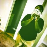 Ricky Boswell - @ricky.boswell.12 - Instagram