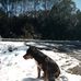 Ricky Boucher - Facebook