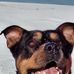 Ricky Boucher - Facebook