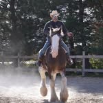 Rick Bourque - @bourque77077 - Instagram