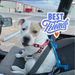 Ricky Box - @jfdi9788 - Instagram