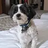 Ricky Boyle - @ricky.boyle5 - TikTok