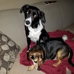 Rick Bracey - @romaandwally - Instagram