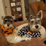 Ricky Brady - @martabrady2012 - Instagram