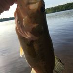 Ricky Bratton - @brattonricky - Instagram