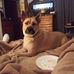 Rick Braun - Facebook