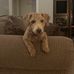 Ricky Brazell - Facebook