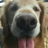 Ricky Breen - @2183731174 - TikTok