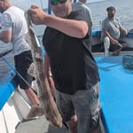 Rick Brownlee - @rick.brownlee.9 - Instagram