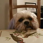 Rick Buckley - @rick.buckley.353 - Instagram