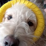Rick Bunker - @bunker4830 - Instagram