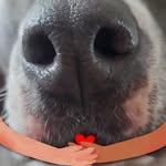 Rick Bunker - @bunker7194 - Instagram