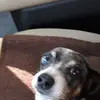 rickyburris491 - @rickyburris491 - TikTok