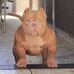 Ricky Bush - Facebook