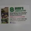 Rickybush bushslandscaping - @rickybush.bushslan - TikTok