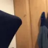 Ricky crane - @ricky.crane - TikTok