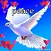 Crunel Rc - Facebook