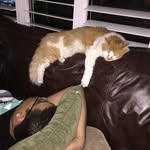 Ricky Crespo - @ricky_crespo - Instagram