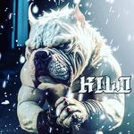 Ricky Perez - @ricky_perez_crespo - Instagram