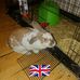 Ricky Cutts - Facebook