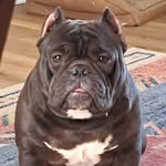Rick Dailey - @rick.dailey.1959 - Instagram