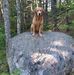 Rick Dix - Facebook