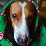 Ricky Douglas - @ricky.douglas.5220665 - Instagram