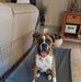 Ricky Douglas - Facebook
