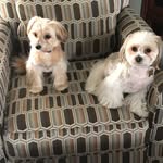 Rick Downey - @rick.downey - Instagram