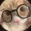 Ricky - @ricky_thedumass - TikTok