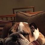 Ricky Fitzgerald - @fitzgerald.ricky - Instagram