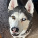 Ricky Frey - @rickdolf - Instagram