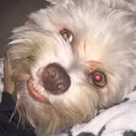 Ricky Galloway - @rg31687 - Instagram