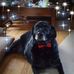 Ricky Gates - Facebook