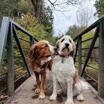 Ricky Gentry - @rickygentry43 - Instagram