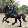 Ricky Gentry - @sonny_bailey911489 - TikTok