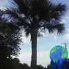 Ricky George - @rickygeorge5 - TikTok