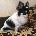 Ricky - @ricky_good_boy - Instagram