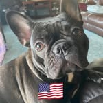 Rick Grice - @gricerick - Instagram