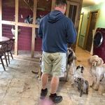 Ricky Bedient - @that_dog_guy_ricky - Instagram