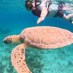 Rick Hamby - @rickk372023 - Instagram
