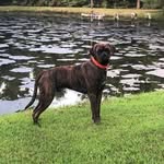 Ricky Hamby - @hamby_ricky - Instagram